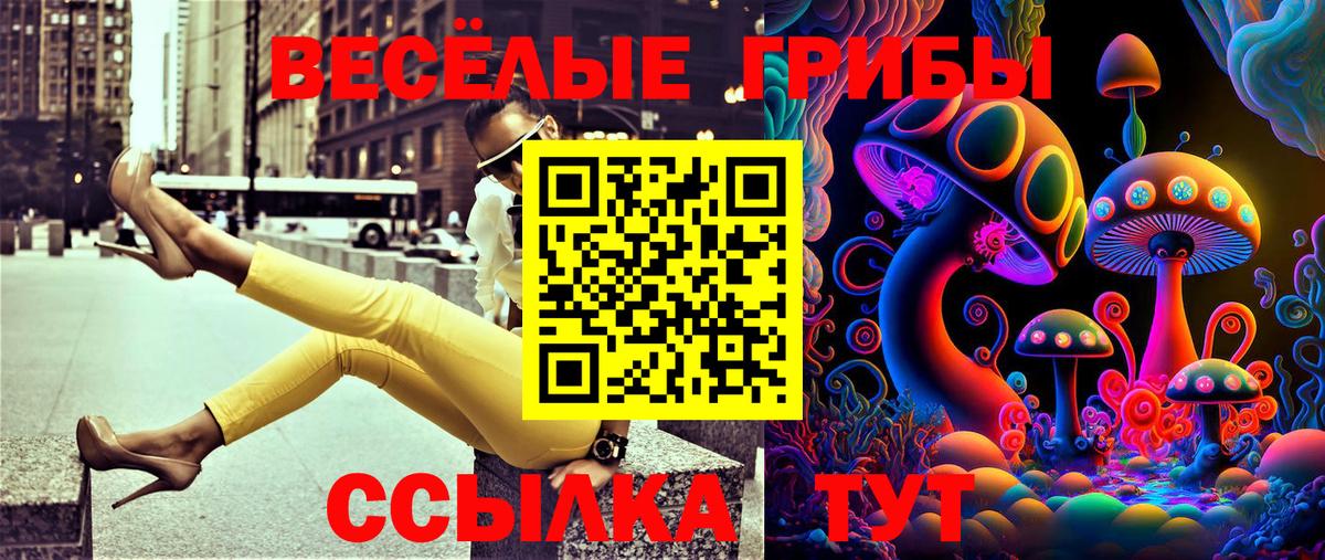 Псилоцибиновые грибы прущие грибы Серов